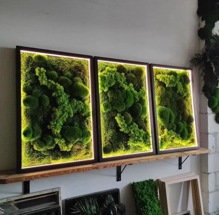 moss vertical garden